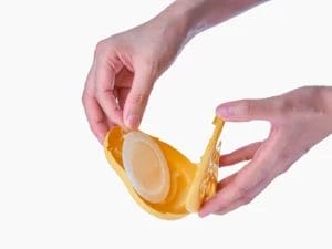 Project roly poly go scenty 4